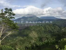 ELEVATED LAND WITH SPECTACULAR VOLCANO VIEW IN KINTAMANI