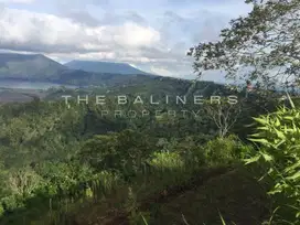 SPECTACULAR PANORAMIC VIEW LAND IN KINTAMANI