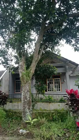 Rumah Luas 200 m Buring Cemorokandang Malang