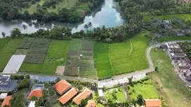 Dijual /Freehold Tanah Di Pasut  Tabanan Bali
