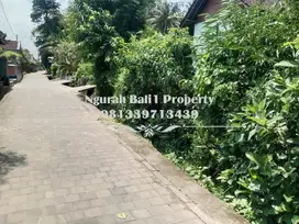 Tanah Murah Disewakan Luas 1000 m2 lingkungan Villa di Ubud