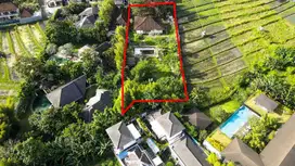 Tanah Super Langka Di Umalas View Sawah Di Jamin MURAH