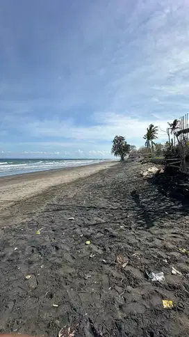 LOS PANTAI / BEACH FRONT 450M2 PERANCAK  JEMBRANA