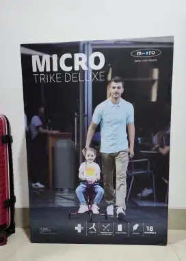 Micro trike deluxe