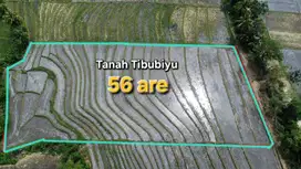 Di jual Tanah Di Tibubiyu Tabanan Bali, dekat ke pantai Pasut.
