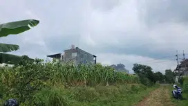 Tanah Strategis di Merjosari Malang – Dekat Kampus, Siap Bangun!