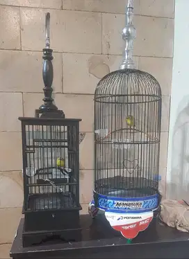 Jual 2 kandang burung pleci fullset isinya