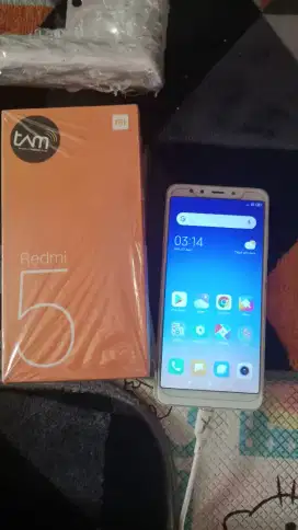 HP REDMI 5 LENGKAP BOX MURCE 300K