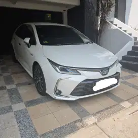 (CASH) ALTIS HYBRID IMPROVEMENT TIPE TERTINGGI