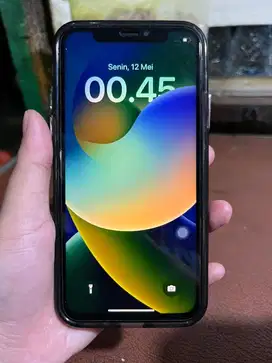 IP X 64gb internal