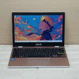 Asus Vivobook E210MA Intel Celeron N4020 Ram 4 gb Ssd 256gb