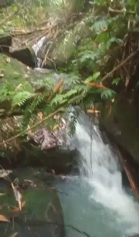 Tanah kebun view sungai di Selemadeg Tabanan Bali
