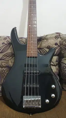 Ibanez gio 5string