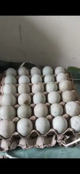Telur bebek mantappss