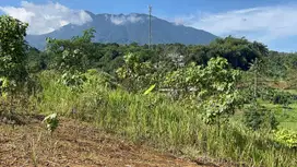 Tanah SHM Di Cisarua Puncak Bogor Luas 1000m2