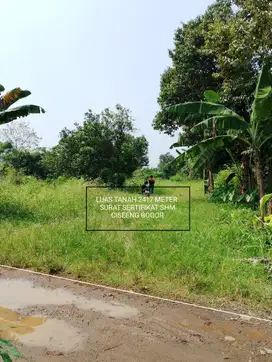 TANAH KEBUN MURAH STRATEGIS DI CISEENG BOGOR