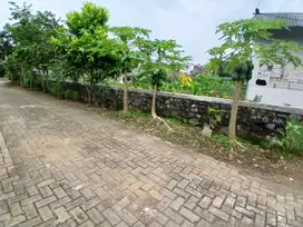 Tanah Kavling Murah Pakisjajar Malang Luas Mulai 60 m²