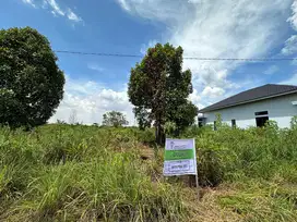 Dijual Cepat Tanah Lokasi Staretegis, Nyaman, Dan Asri Di Pekanbaru