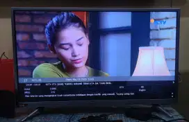 TV LED Digital  32 in CHANGHONG NORMAL NO MINUS