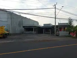Tanah Jalan Utama Temukus Banjar Buleleng Bali