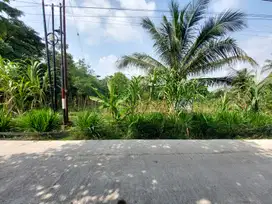 Tanah Sukamoro Bagus Untuk Investasi maupun Hunian