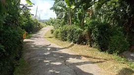 Jual tanah lokasi kerambitan