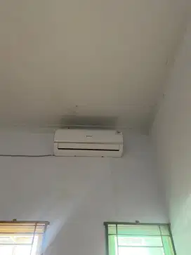 Ac sharp satu pk