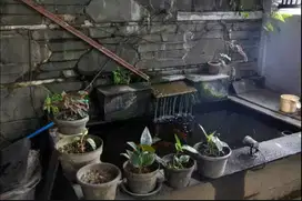 Dijual Rumah Bagus di Angkasa Mekar Cibaduyut, Bandung