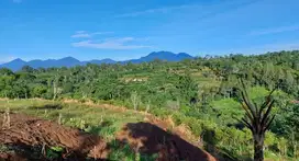 Jual lahan super lokasi di kintamani bangli