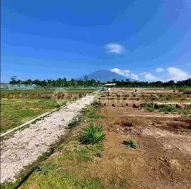Dijual Tanah 4.775 m2 Cugenang, Cianjur