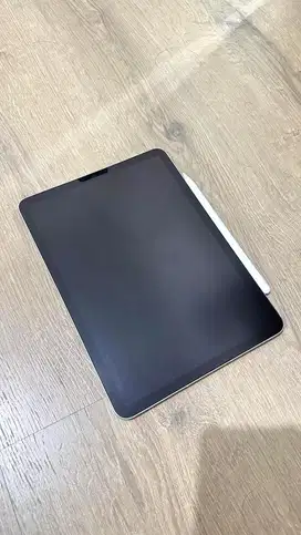 Apple iPad Air 5 | 2024 | 256 GB | Cellular