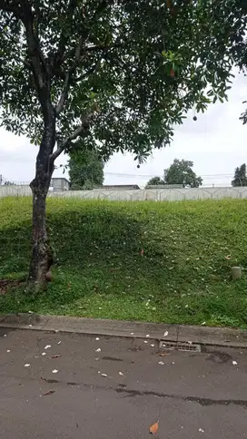 Kavling Siap Bangun di Giri Loka BSD City 240 meter