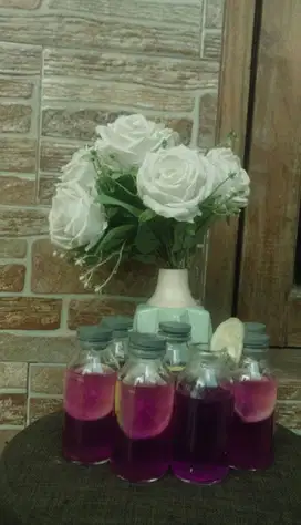 minuman teh bunga telang