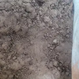 Tanah Subur karungan untuk Taman