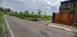 Tanah Arjowinangun Malang Kota sudah SHM Split Dijual Murah cepat B.U