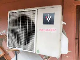 AC Sharp 1/2 PK