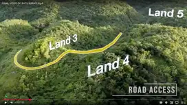 Tanah 3 - Tanah Strategis di Batukaras - View Laut, Pohon Mahoni Dewas