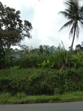 Tanah Komersial Cocok untuk Usaha Raya Dampit AMADANOM Malang