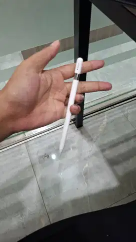 Gen 10, Appel Pencil