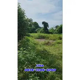 HANYA 1 JUTAAN HARGA MASIH NEGO LUAS 1500 LOKASI LEGOK DEKAT KE MALL