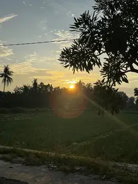Dicari ART jaga 2 anak dan beberes rumah