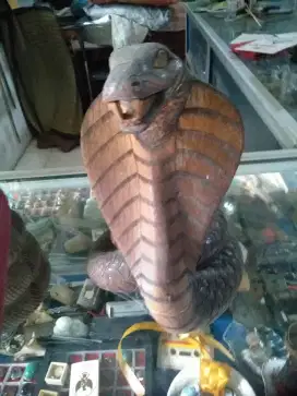 Replika sepasang king cobra