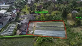 Tanah Bagus View Danau Buyan Pancasari Sukasada Buleleng Bali
