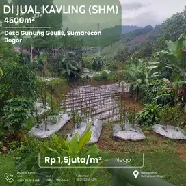 Jual Kapling SHM 4.500m² bisa ambil per1.000m², Harga 1,5 Nego