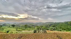 Dijual Murah Tanah View Bagus di Perkampungan Bojong Purwakarta