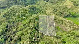 Tanah 1 - Tanah Strategis di Batukaras - View Laut, Pohon Mahoni Dewas