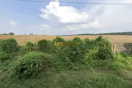 Dijual Tanah Kosong di Jalan Glugur Rimbun - Pasar X, Deli Serdang