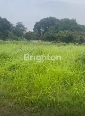 DIJUAL TANAH/KAVLING KAWASAN INDUSTRI DI BATUCEPER TANGERANG