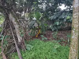 Dijual Tanah  Mekarwangi, cisauk, Tangerang.