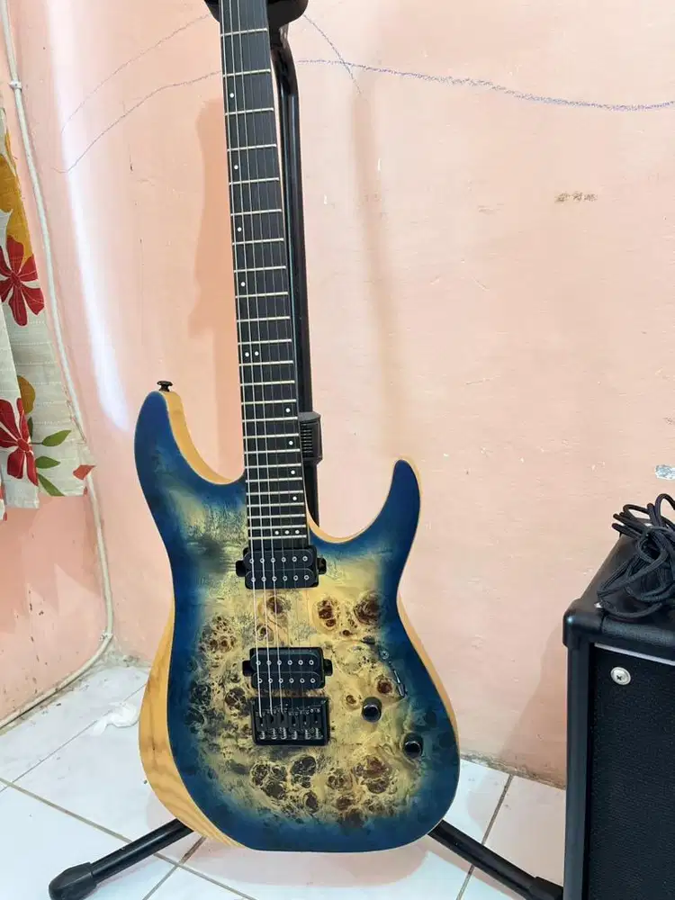 Jual Gitar dan teman-teman nya